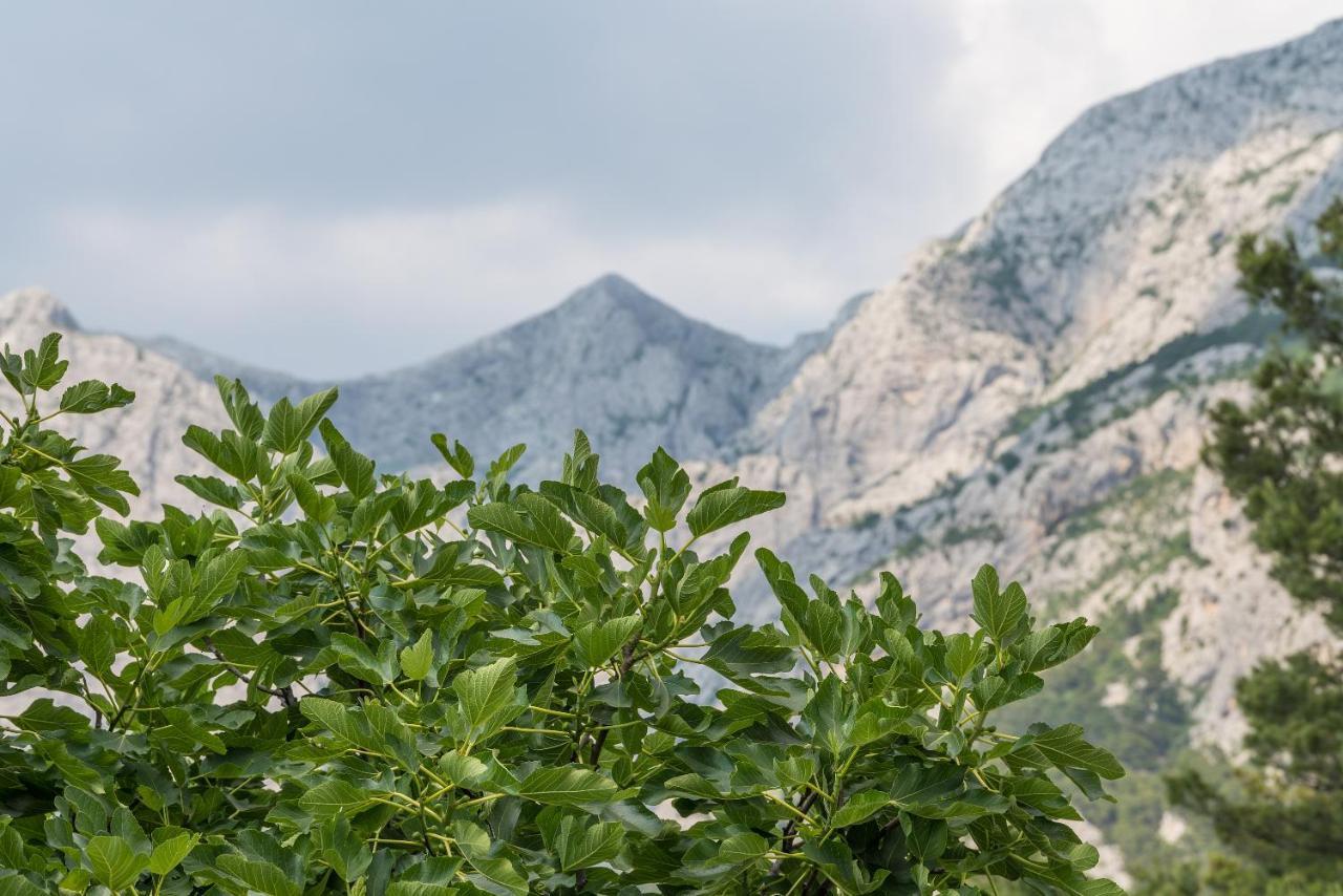 Apartment Strawberry Makarska Exterior foto